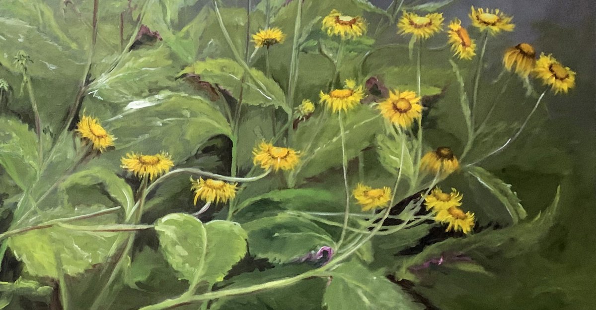 Vom Garten auf die Leinwand 