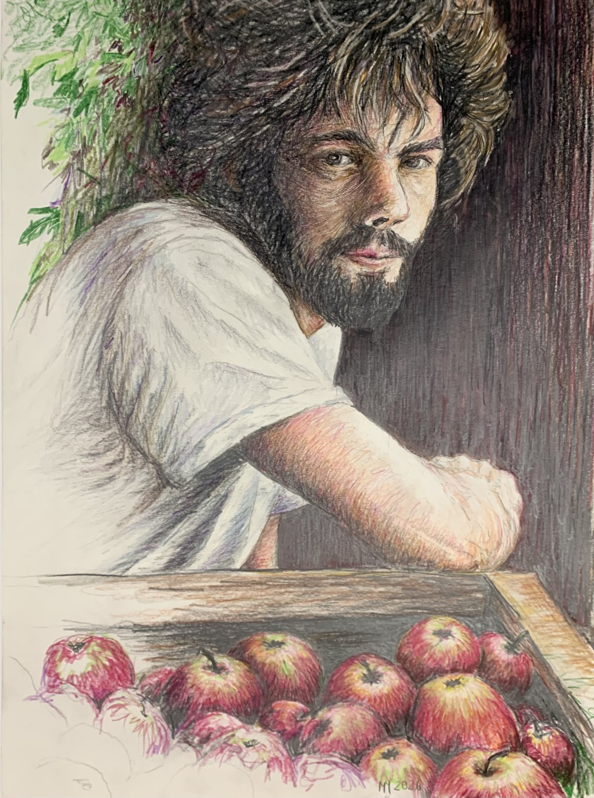 Apfelernte - Der Hüter und Sammler. „Buntstiftzeichnung eines bärtigen Mannes mit lockigem Haar, der sich über eine Holzkiste voller roter Äpfel lehnt. Der Stil ist durch feine Schraffuren geprägt; der Blick des Mannes ist direkt und ernst.“